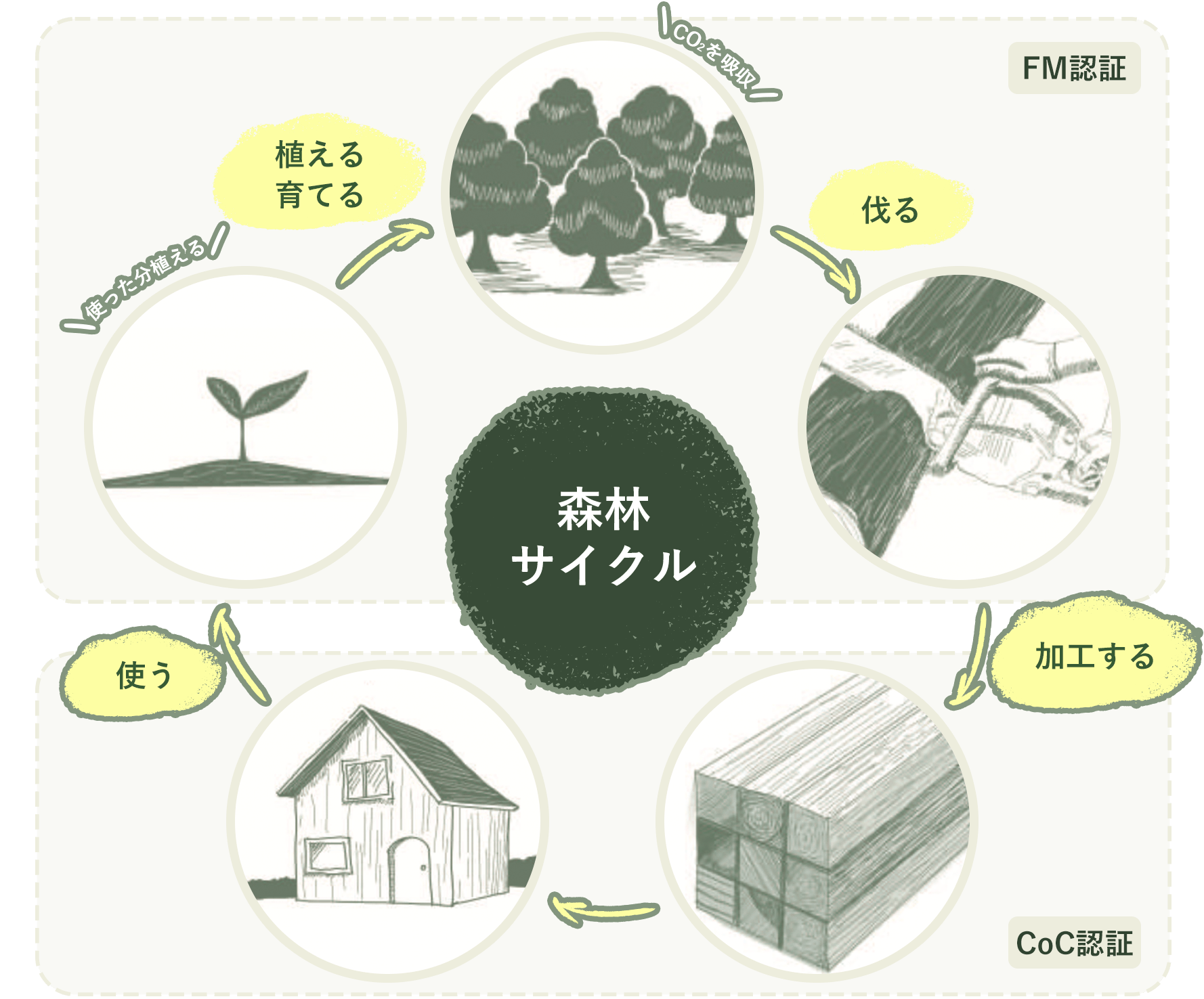 FM認証とCoC認証の基準に基づいた持続可能な「森林サイクル」を大切にしています。